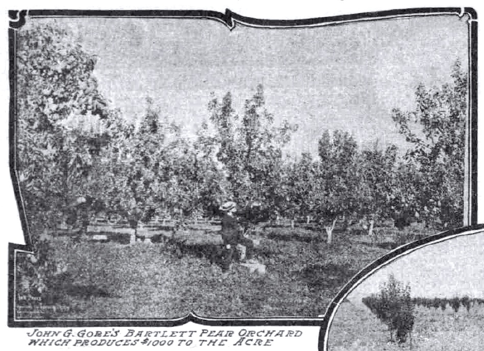 John G. Gore Orchard circa 1907, September 5, 1909 Sunday Oregonian