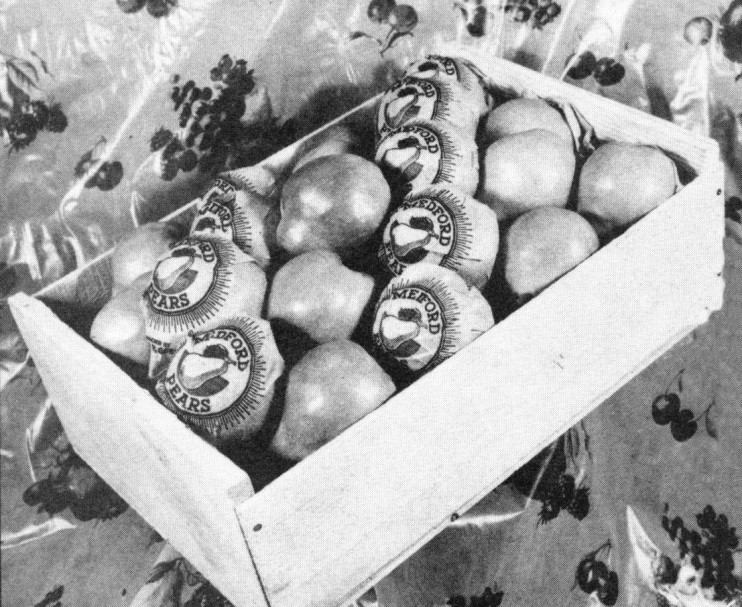 Box of Medford Pears