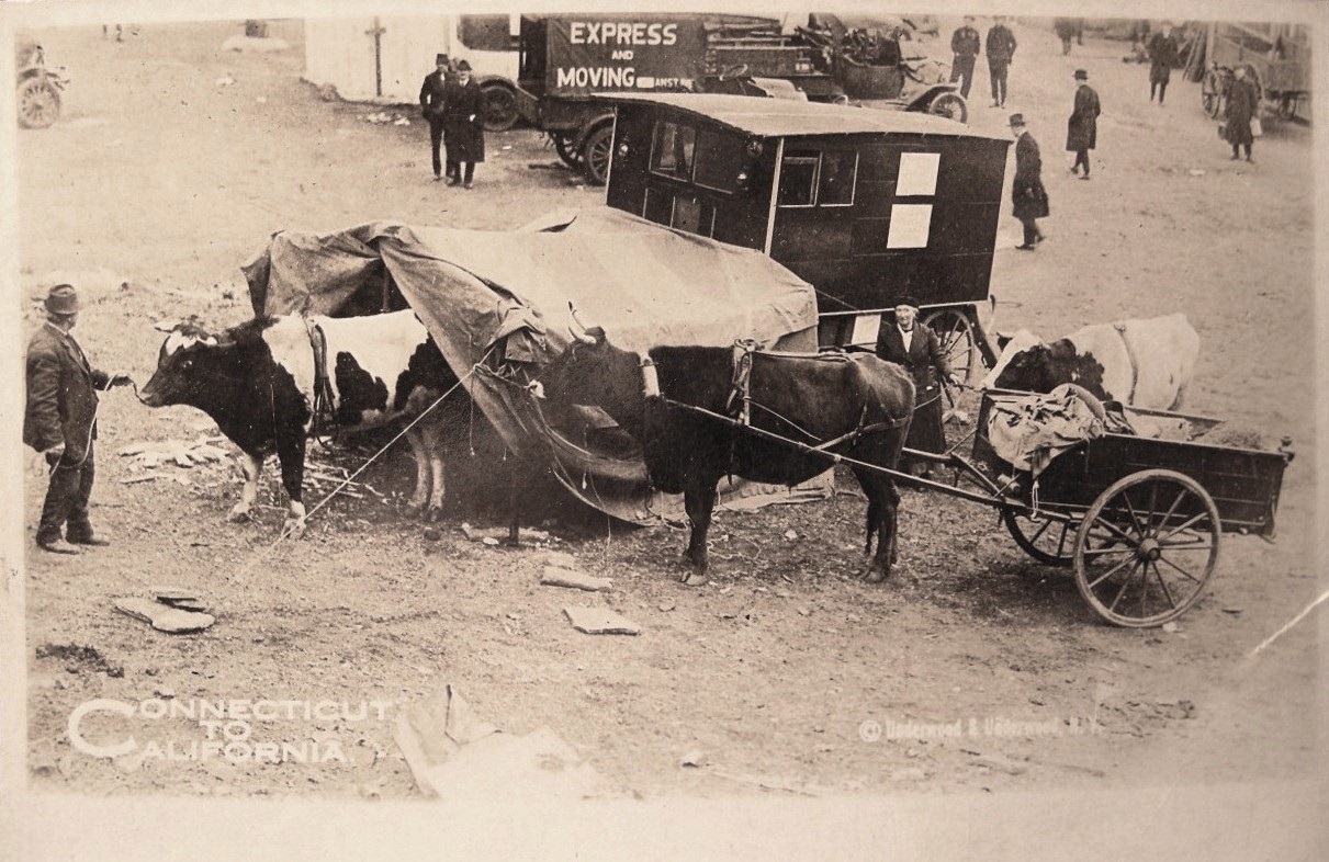 Mr. and Mrs. J. C. Berrang in New York City, January 1921