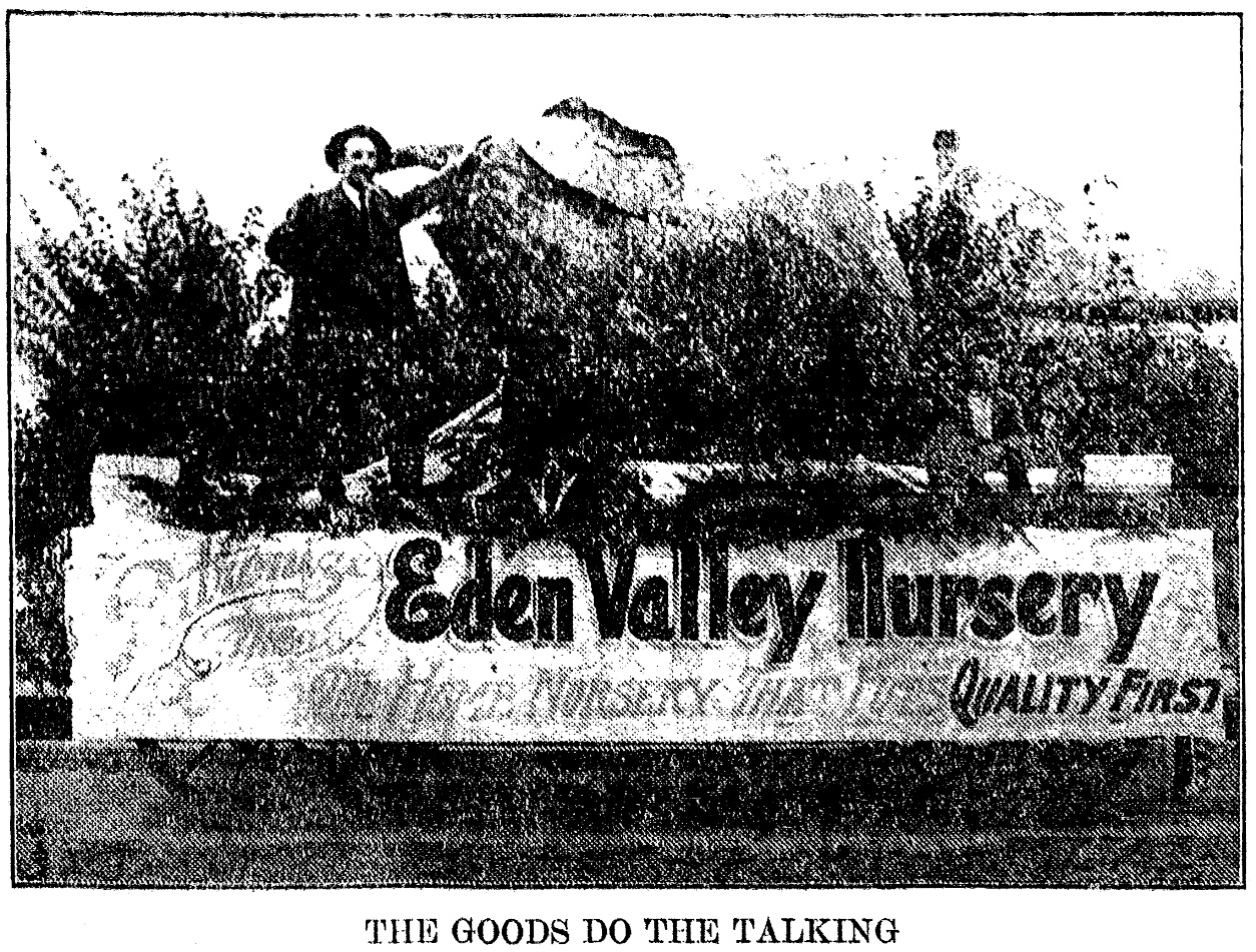 Eden Valley Nursery Parade Float, January 1, 1914 Medford Mail Tribune