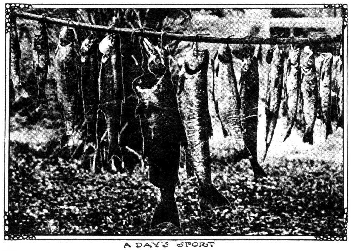 Fish, August 18, 1907 Oregonian