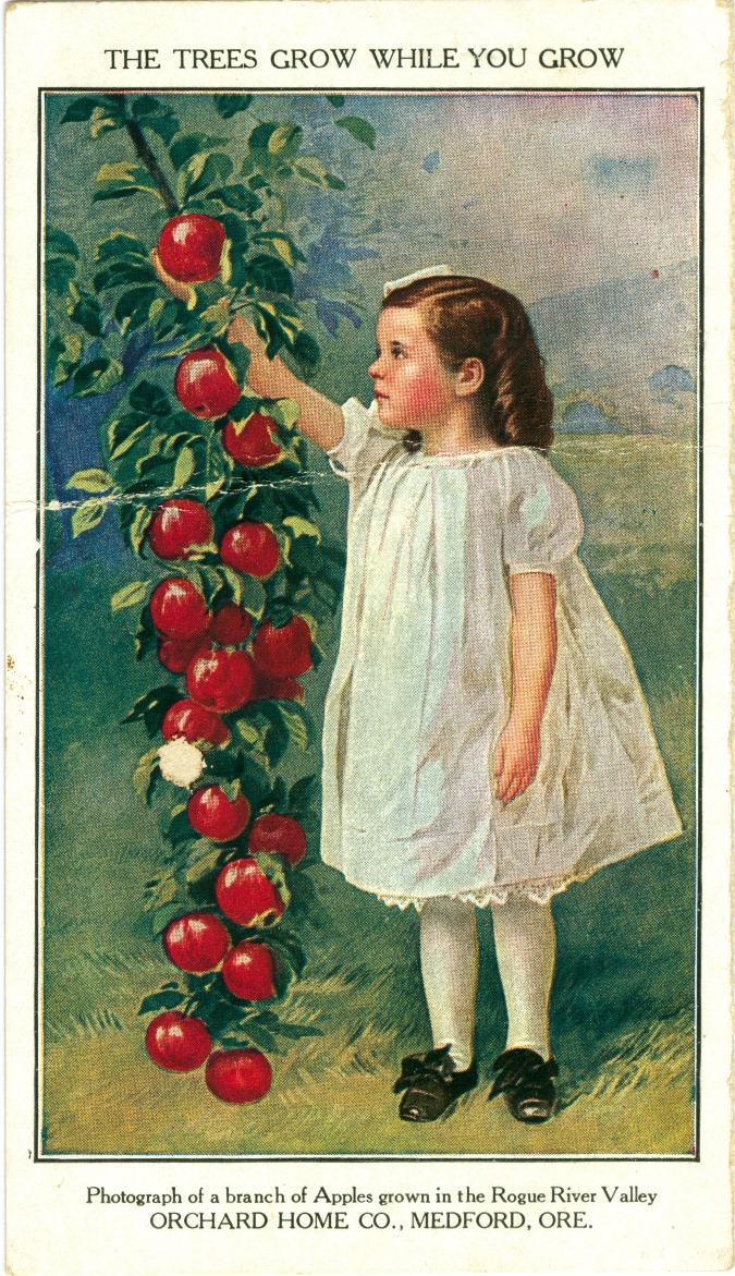 Orchard Home Promotional Postcard