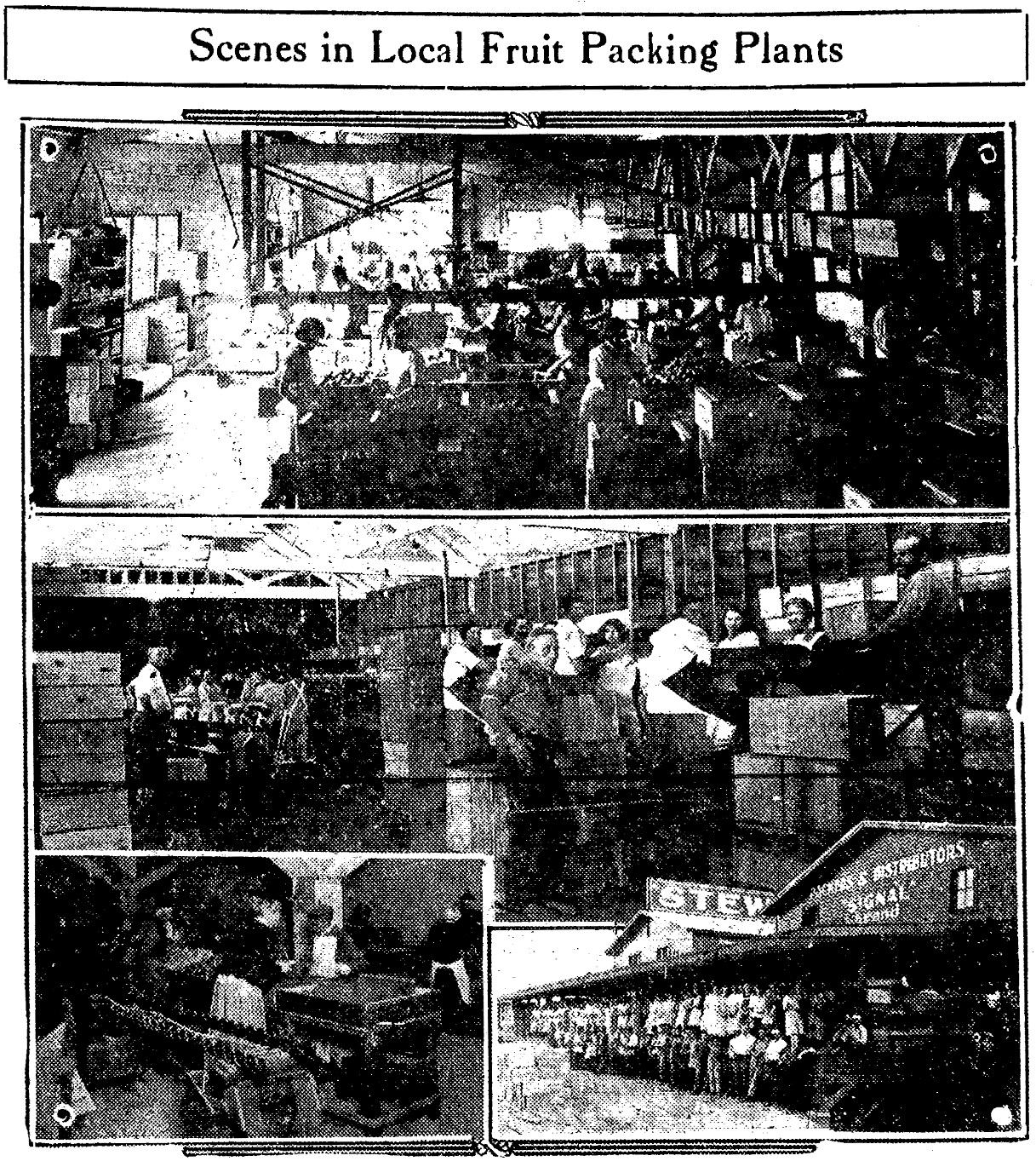 Medford Mail Tribune, July 31, 1927