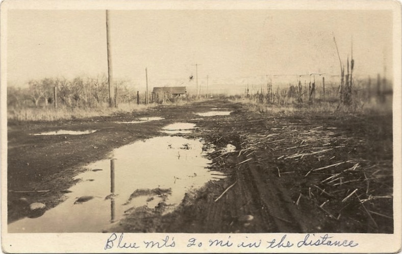 A road near Freewater, Oregon, circa 1915.