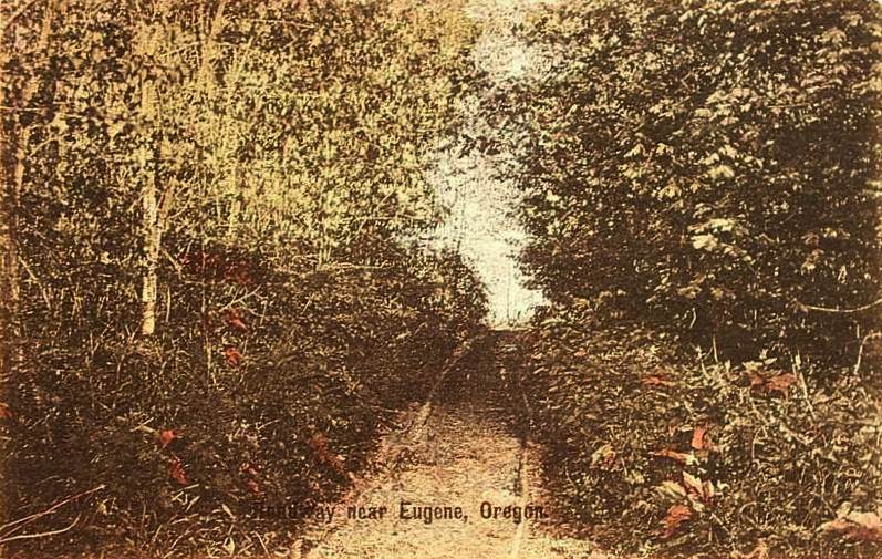 A road near Eugene, Oregon, circa 1907.
