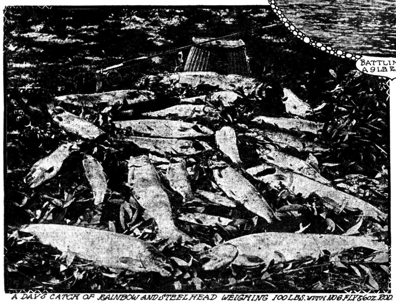 A Day's Catch, August 8, 1907 Oregon Daily Journal