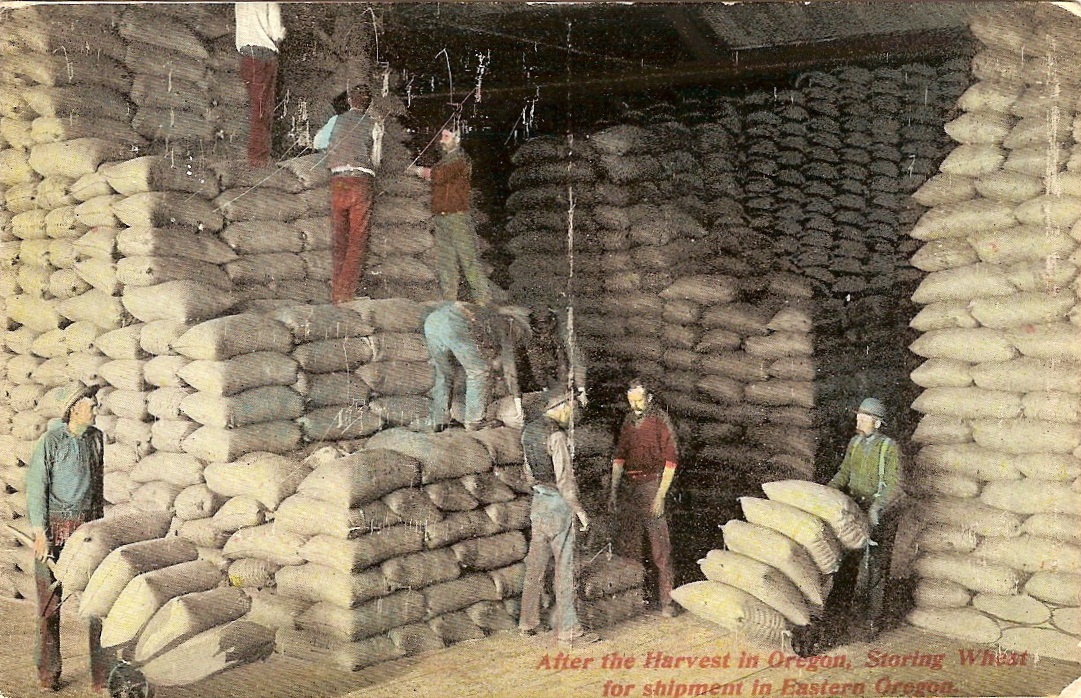 Storing Wheat, circa 1905