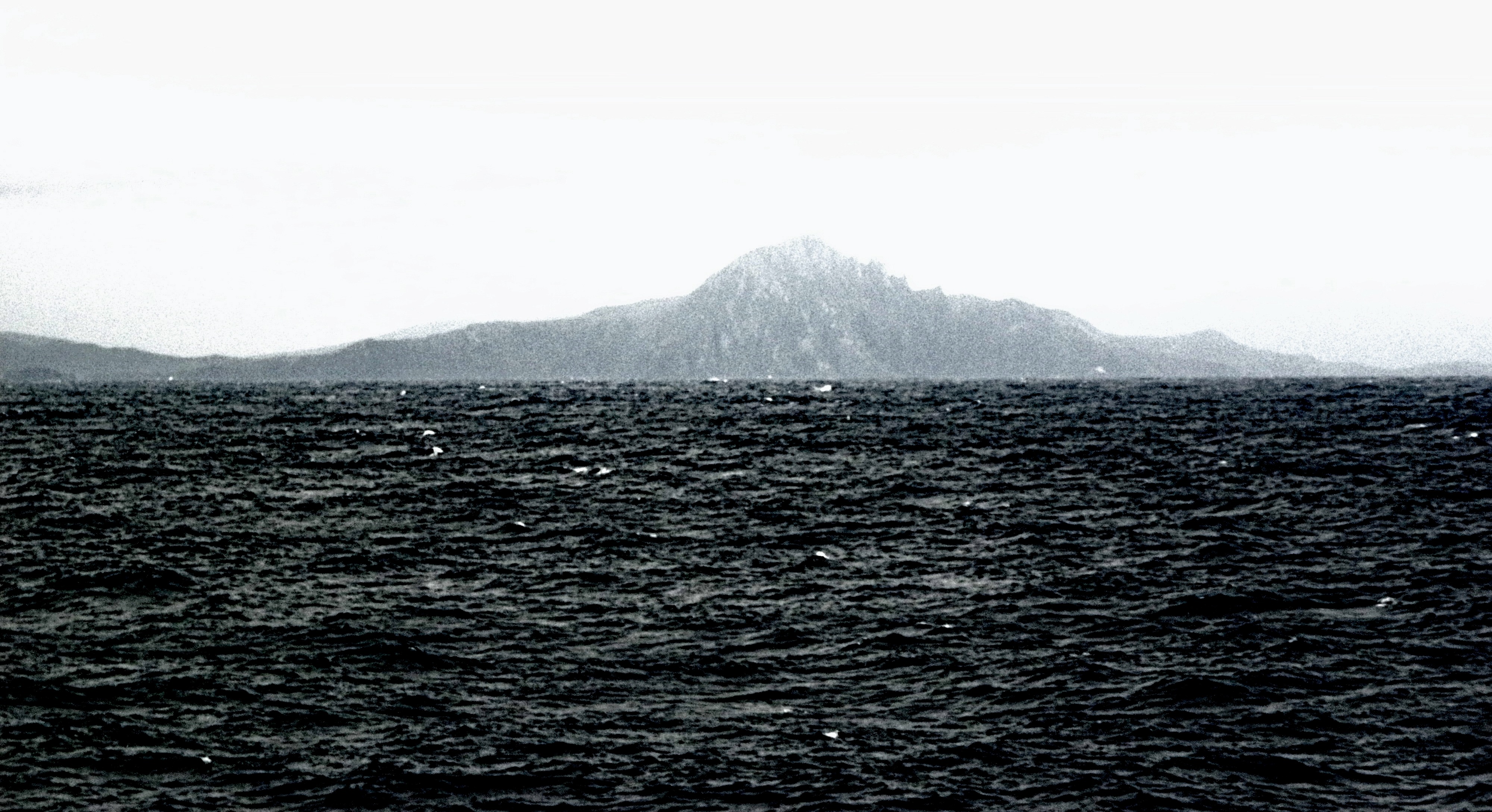 Cape Horn January 23, 2010. Photo by Chet Ogan